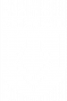 2017-FFWCT-Logo-WHITE-08-No-Letters